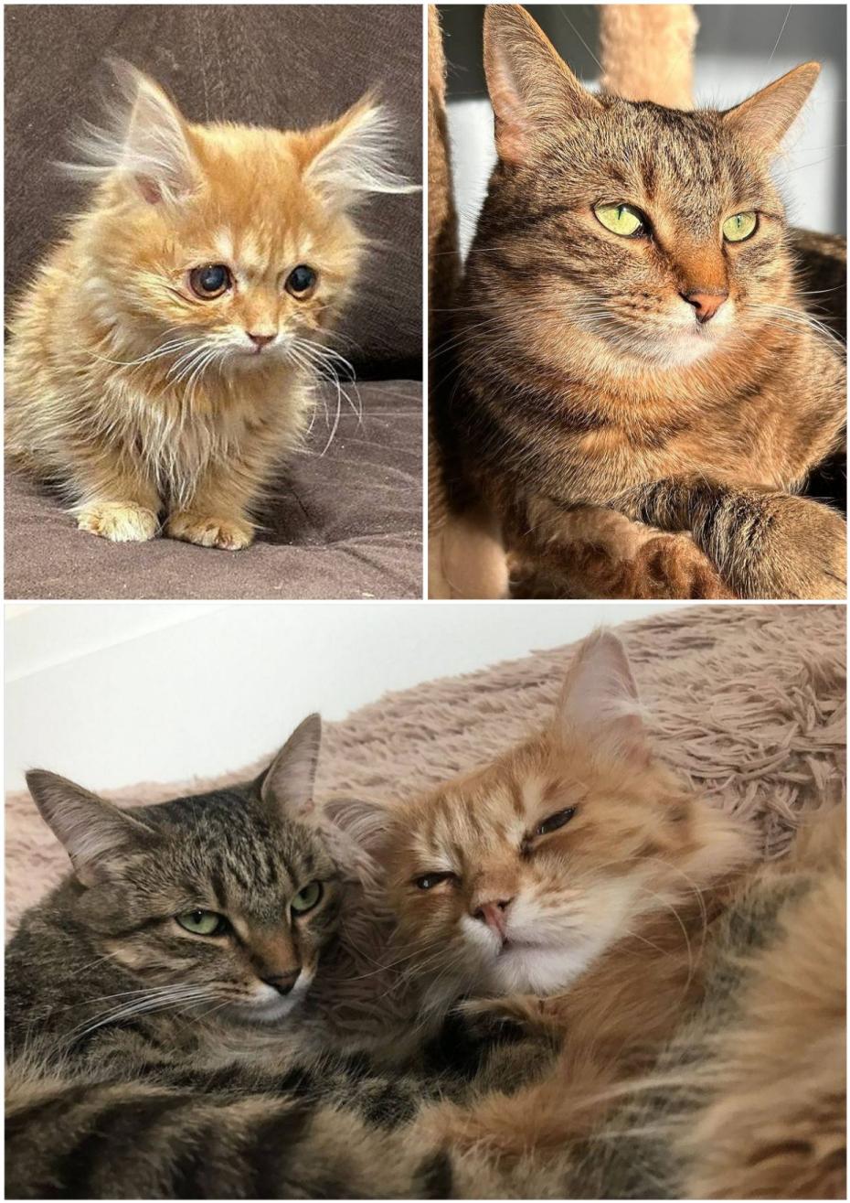 Мия и Лети