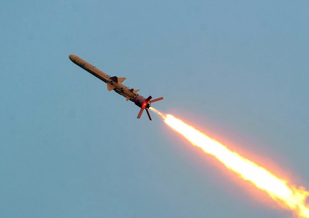 Военэксперт ответил, есть ли у Украины запасы ракет «Фламинго» и «Нептун»