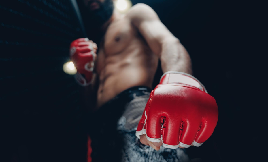 Октагон остался без педофила: что известно о скандале в UFC