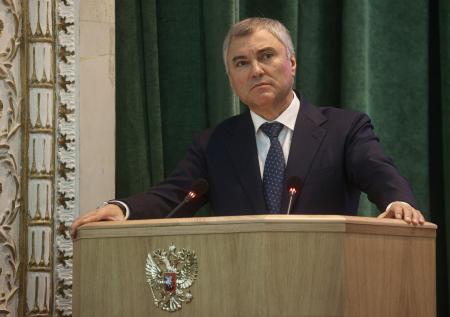 На Север и рудники: Володин рассказал о возможных наказаниях для педофилов