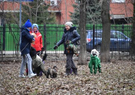 Хозяева искусанных собак смогут взыскивать моральный ущерб 