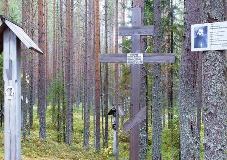 Чайку вновь просят проверить раскопки в Сандармохе