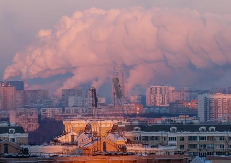 Как работают климатические проекты в России и зачем они нужны
