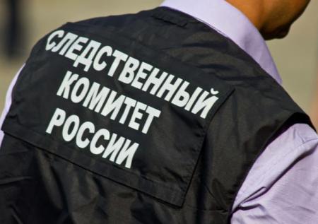 Потерявшуюся в Смоленской области девочку нашли