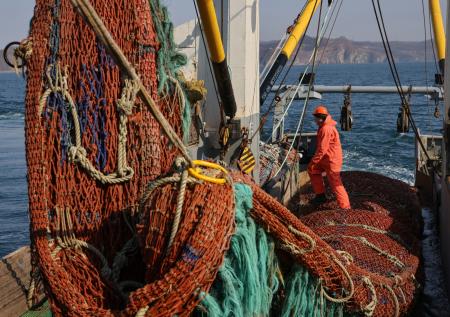 Япония надеется продолжить переговоры с РФ о рыболовстве в Охотском море
