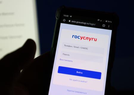 На «Госуслугах» стали принимать заявки на пособие при рождении ребенка