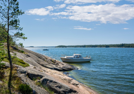 В Ленобласти поставили точку в вопросе разлива нефти в Финском заливе