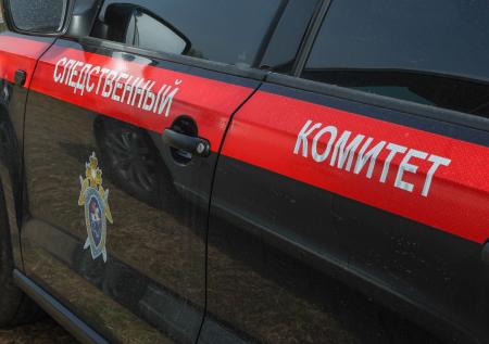 Стало известно, как армрестлер совращал учениц своей спортивной секции
