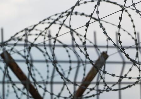Россиянка помогала мужчинам уклоняться от службы в армии и попала в колонию