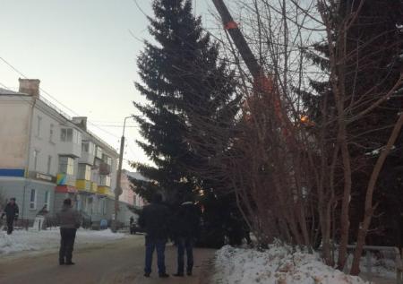 Новогоднюю ель для уральцев спилили на соседней улице