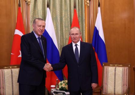 Турки одобрили решение Путина и Эрдогана о расчетах за газ в нацвалютах