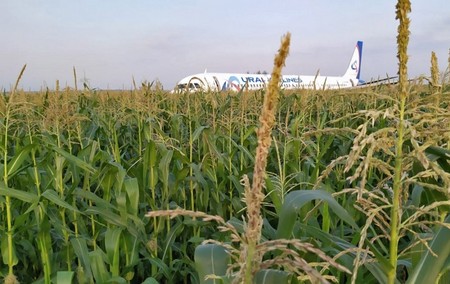 Герой России ответил критикам фильма «На солнце, вдоль рядов кукурузы»