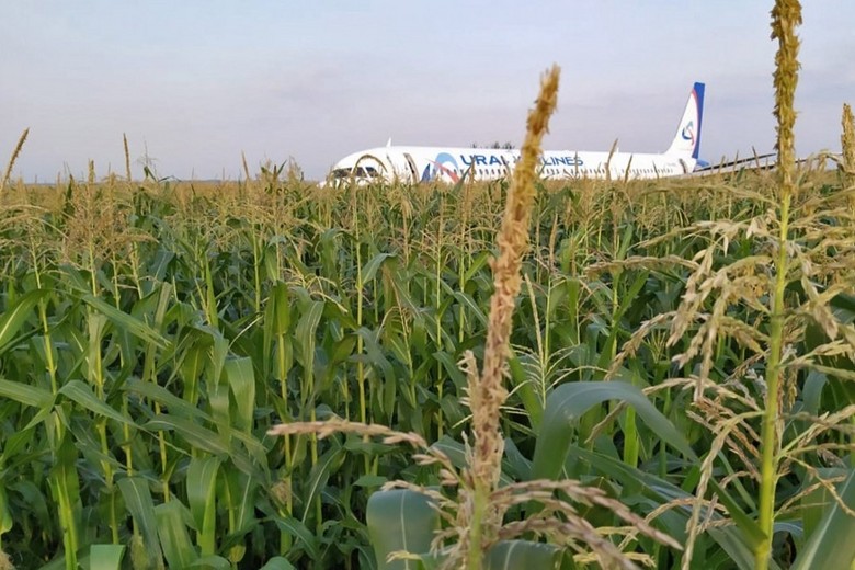 После аварийной посадки на кукурузном поле