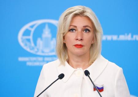 Захарова передала одно пожелание планирующей вступить в ЕС Грузии