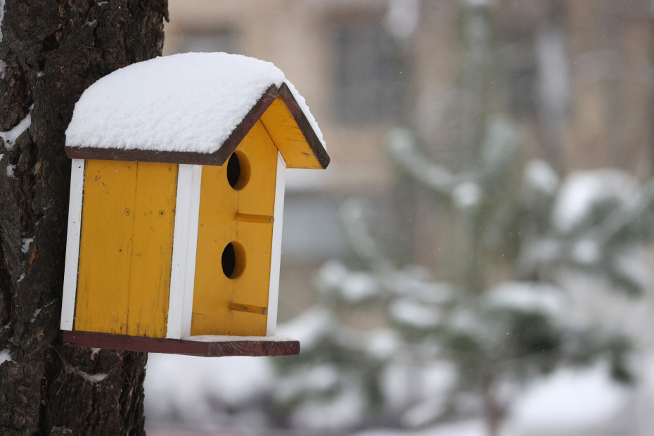 Снегопад в Москве
