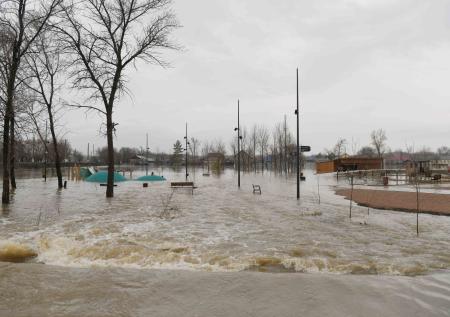Шумков: уровень воды и скорость течения в Тоболе постоянно растут