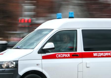 Енот укусил юную гостью кафе в центре Москвы