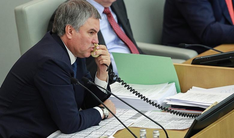 Председатель Госдумы Вячеслав Володин
