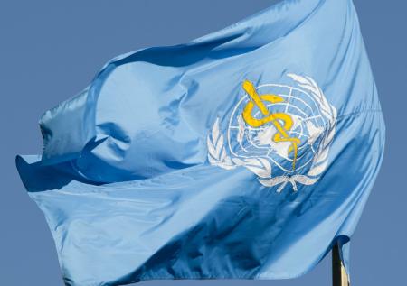 ВОЗ решила переименовать оспу обезьян
