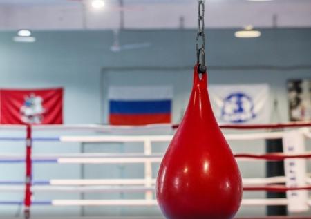 Глава IBA поделился ожиданиями от боев Батыргазиева и Гаджимагомедова