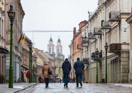 В Литве определились с правом однополых пар на партнерство
