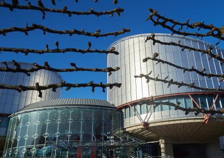 Исключение РФ из Совета Европы распространится на её работу в ПАСЕ и ЕСПЧ