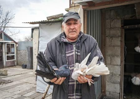Война и голуби: как животные и люди в Донбассе спасают друг друга
