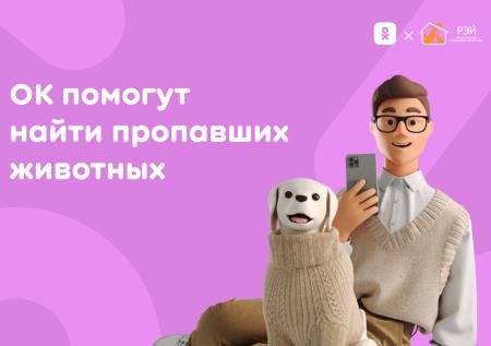 OK выделит до пяти тысяч рублей на рекламу объявлений о пропаже питомцев