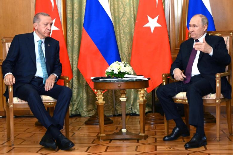 Реджеп Тайип Эрдоган, Владимир Путин