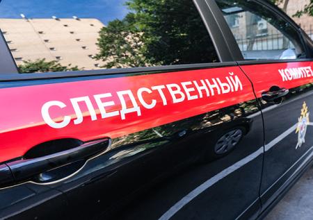 Бастрыкин взял на контроль дело семьи, воспитывающей 36 детей