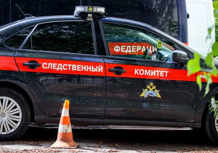 Уголовное дело возбудили по факту исчезновения двух девочек под Кемерово