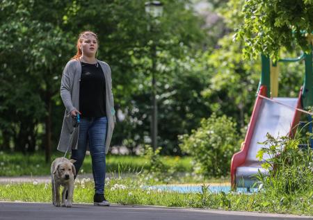 Сервис с расписанием прогулок для москвичей появился в «Яндекс.Картах»