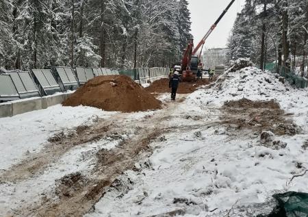 СПЧ потребует приостановить работы в Троицком лесу