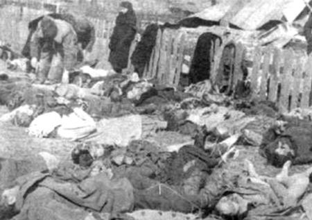 В Варшаве призвали Украину оценить геноцид поляков в 1943 году