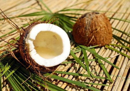В Британии отказались от кокосовой продукции из-за «рабского труда обезьян»