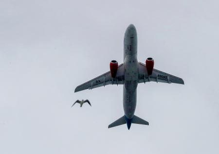 Киев призвал Тбилиси остановить авиасообщение с Москвой