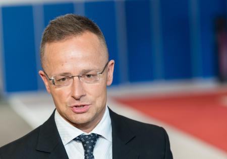 МИД Венгрии прокомментировал жалобу Украины в ВТО
