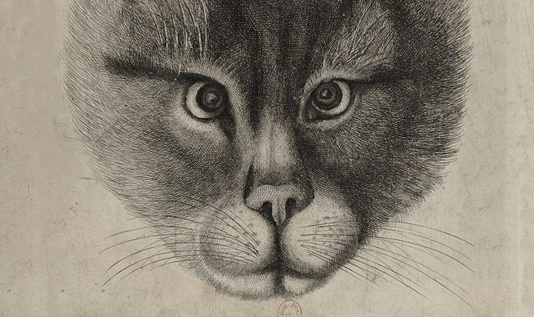 Фрагмент эстампа «Подлинный портрет кота Великого князя Московии»