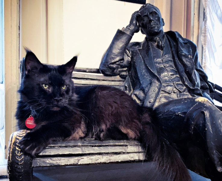 Кот Бегемот и Михаил Афанасьевич ждут гостей в «Булгаковском Доме»