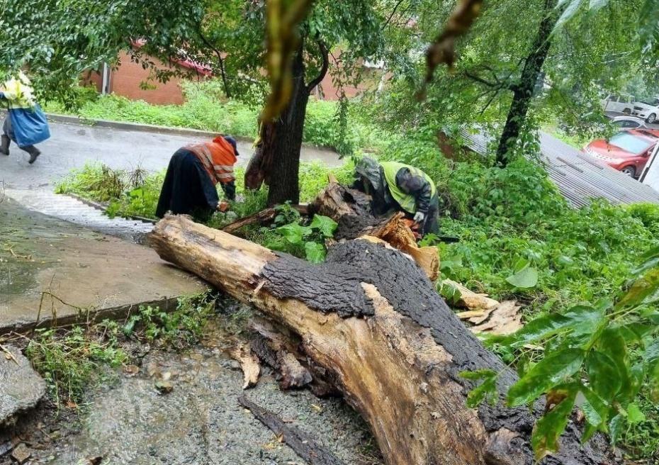 Последствия ливня во Владивостоке