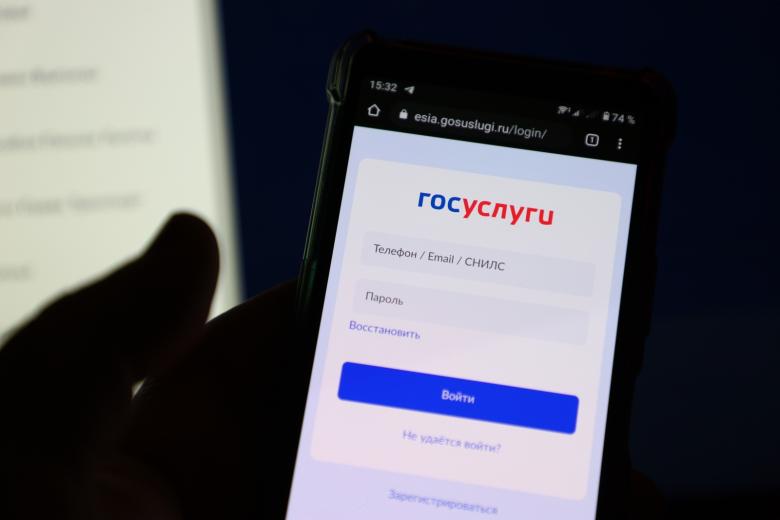 Сайт госуслуг в мобильном приложении
