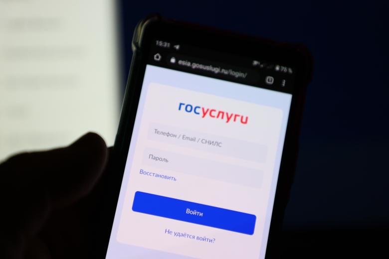 Сайт госуслуг в мобильном приложении на телефоне