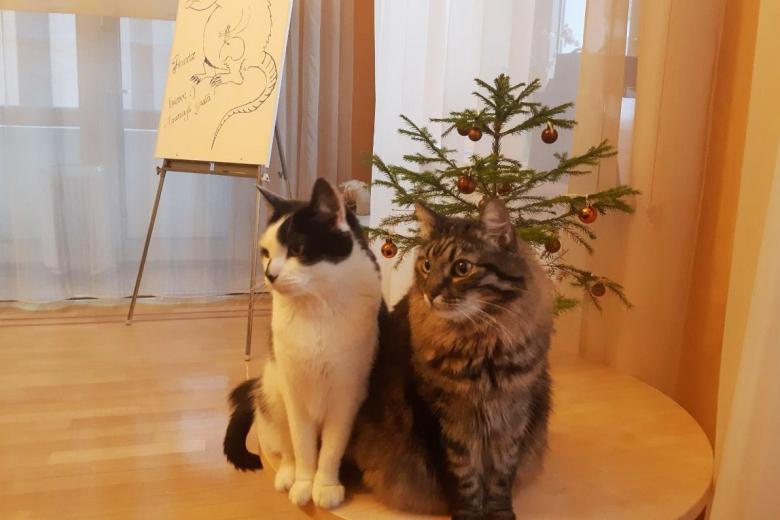 Кузя и Мурис