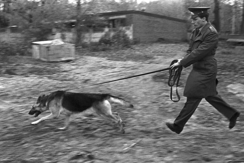 Сотрудник милиции СССР, 1985 год