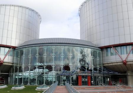 ЕСПЧ опубликует решения по жалобам Удальцова и Развозжаева