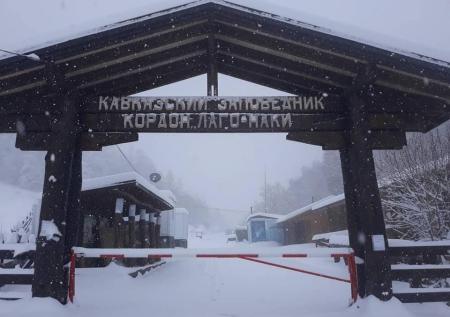 В Кавказском заповеднике впервые за 20 лет прошёл майский снегопад