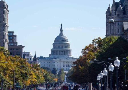 Большая бронзовая какашка появилась напротив Капитолия США