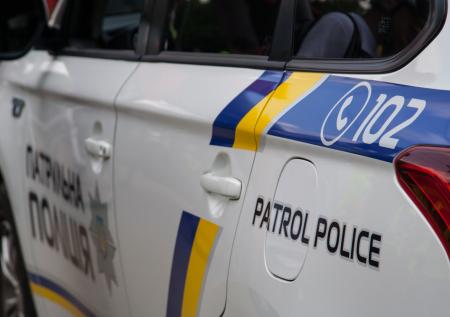 На Украине на свалке у мясного завода нашли мертвого льва
