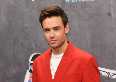 Друг покойного солиста One Direction подал в суд на его отца