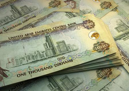 Профессор ВШЭ посоветовал делать накопления в дирхамах, юанях и шекелях